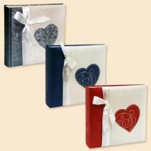 Pioneer 4R200PPBB Love